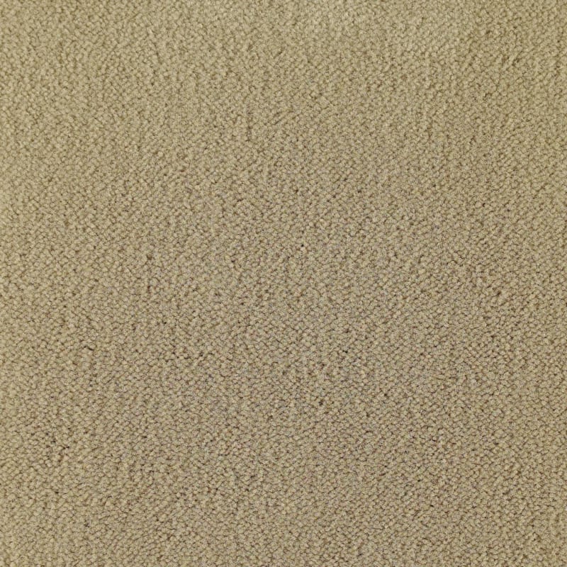 Panache carpet by Masland