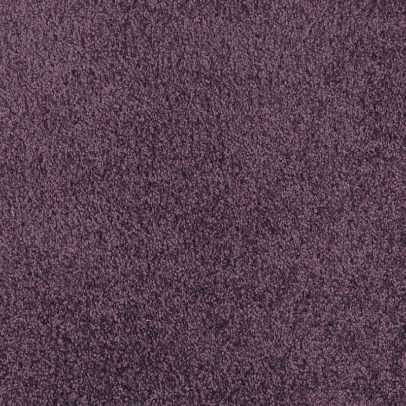 Miami carpet by Masland