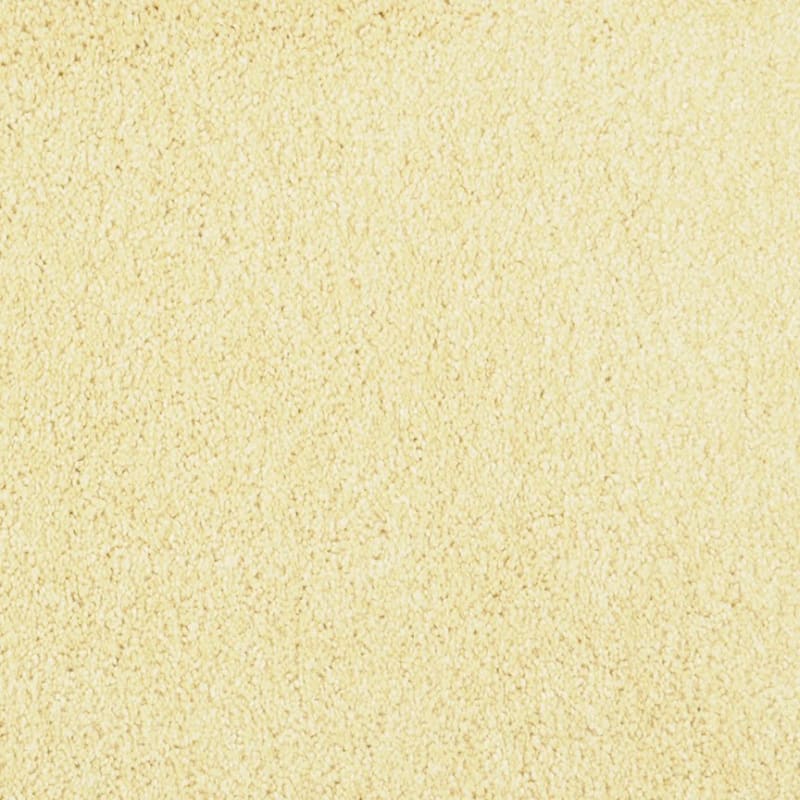 Miami carpet by Masland