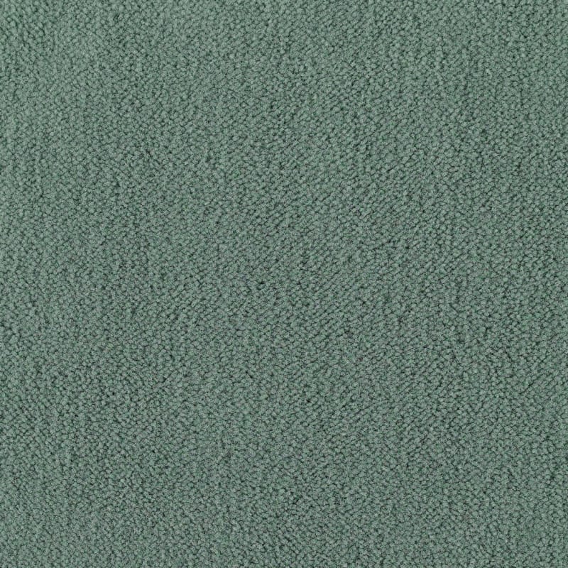 Panache carpet by Masland