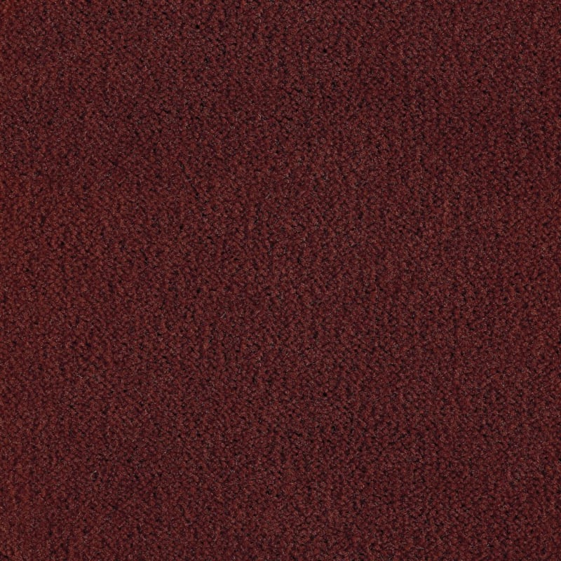 Panache carpet by Masland