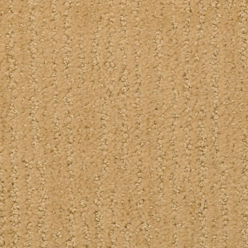 Nature'S Essence carpet by Masland