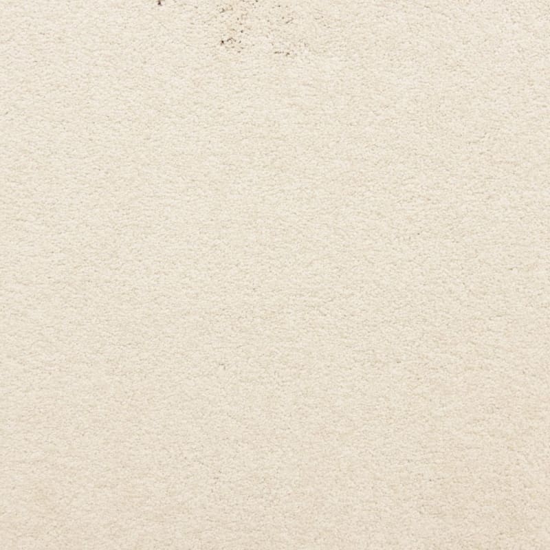 Knockout carpet by Masland