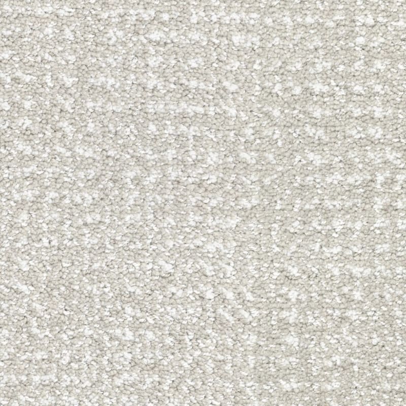 Pedigree carpet by Masland