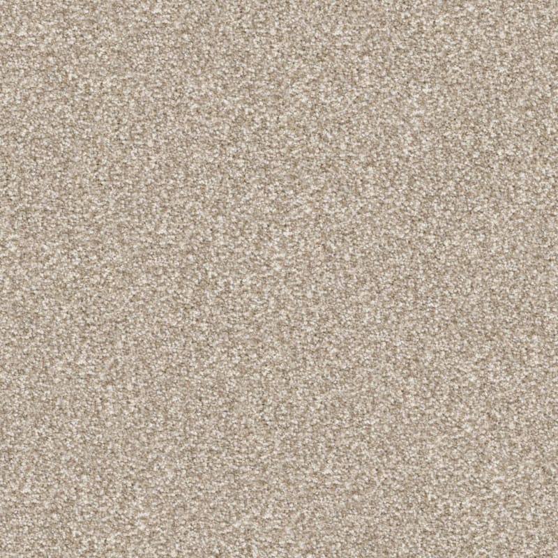 Tracker carpet by Masland
