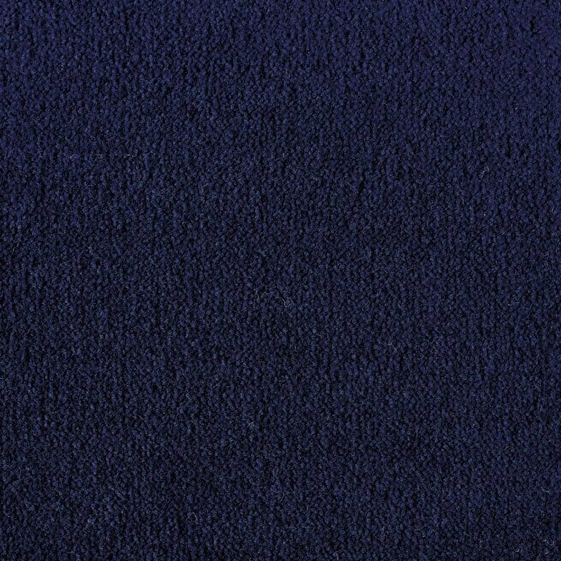 Panache carpet by Masland