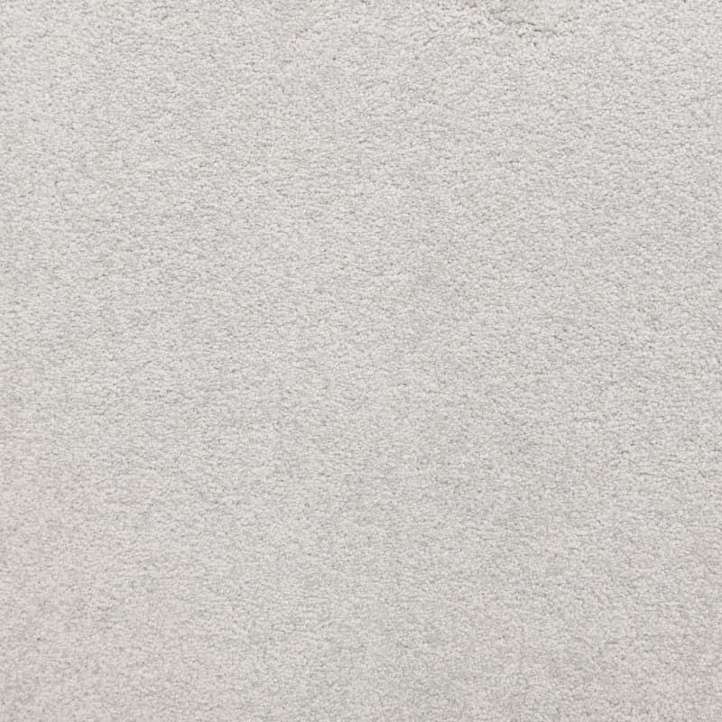 Knockout carpet by Masland