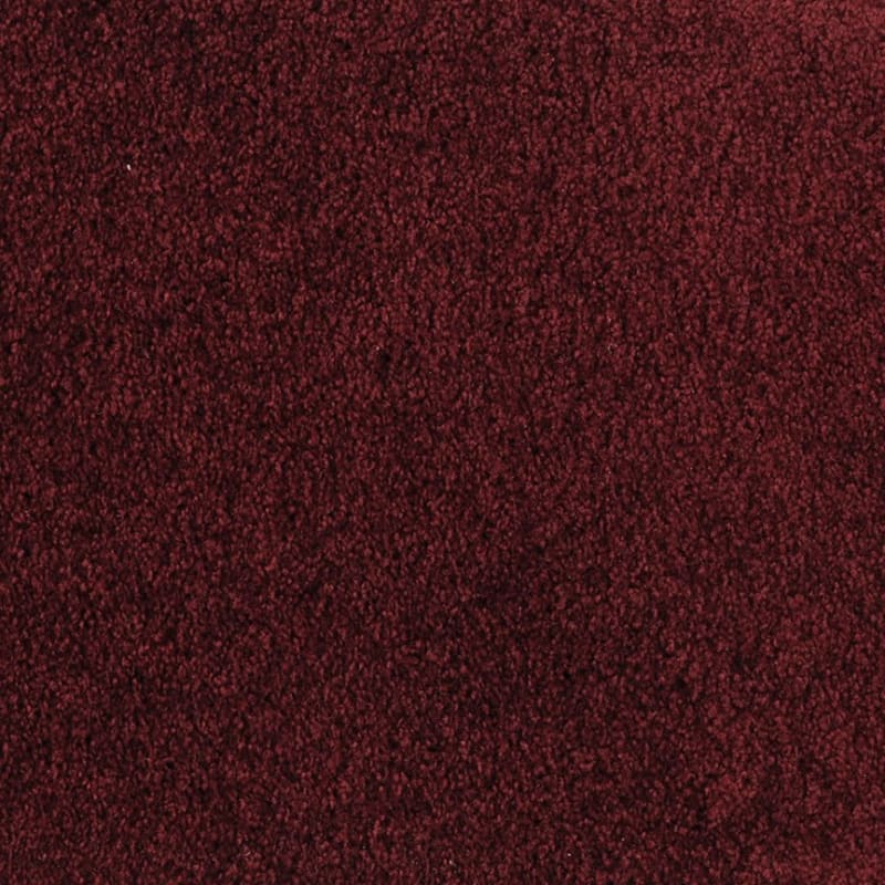 Oceanside carpet by Masland