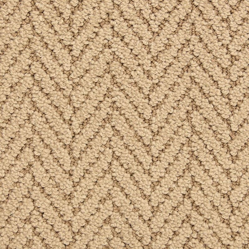 Distinguished carpet by Masland