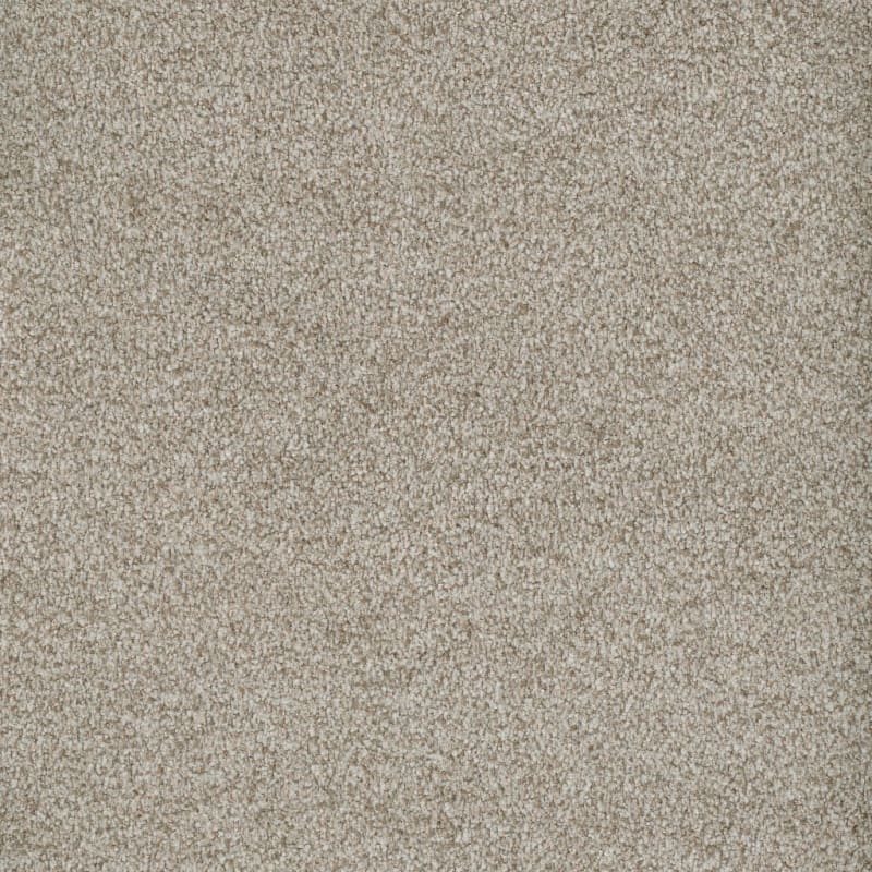Boca Raton carpet by Masland