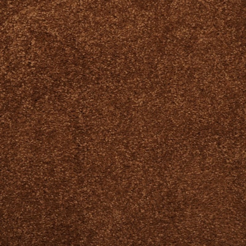 Embrace carpet by Masland