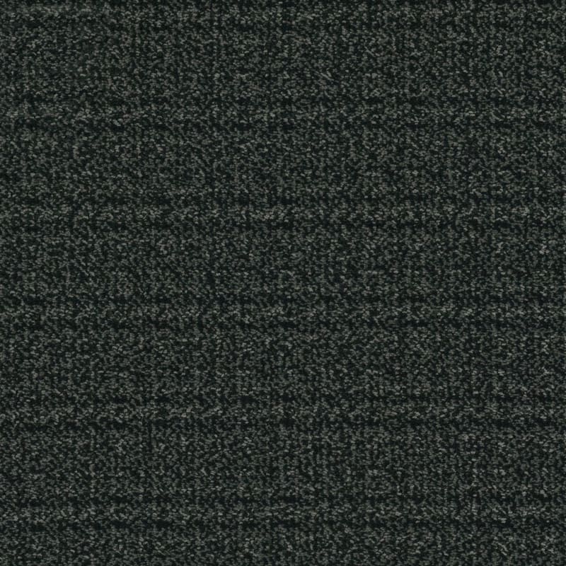 Purebred carpet by Masland