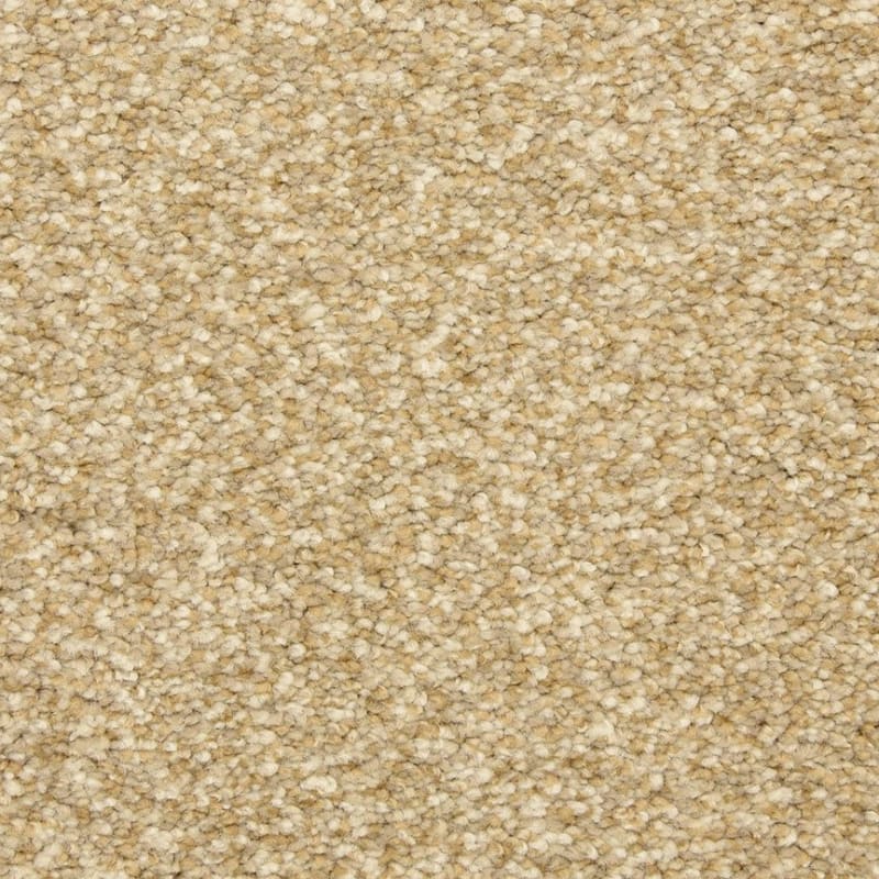 Staccato carpet by Masland