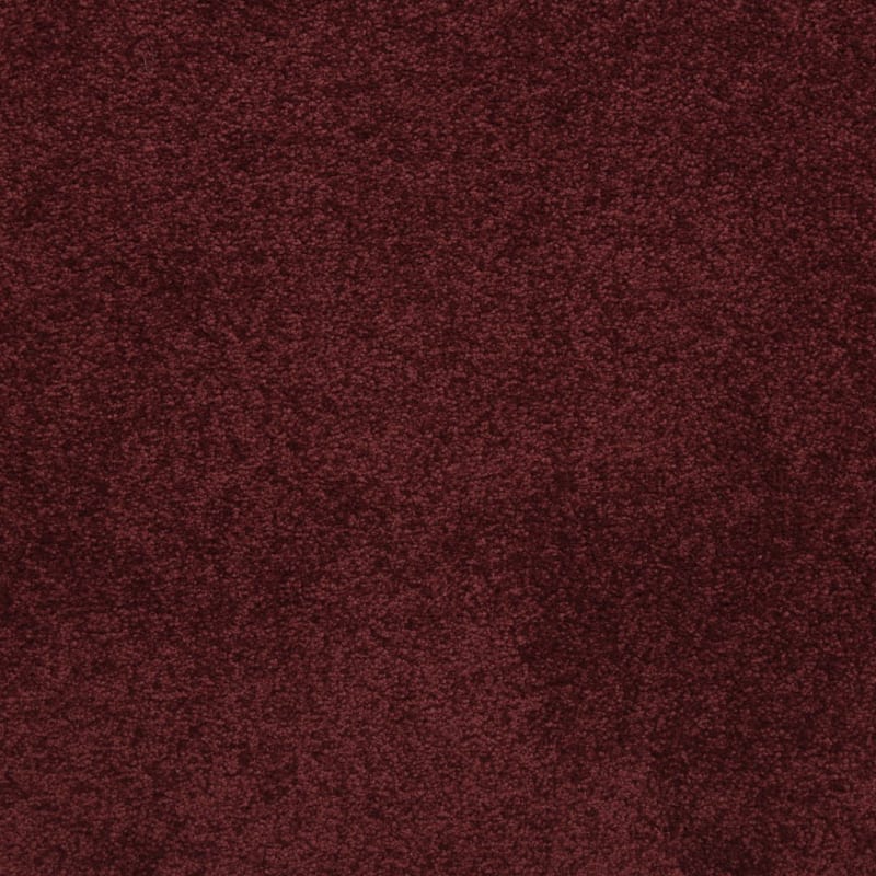 Knockout carpet by Masland