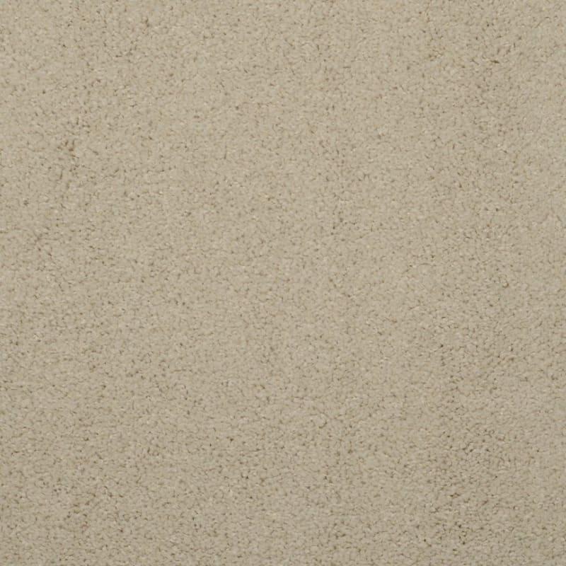 Embrace carpet by Masland