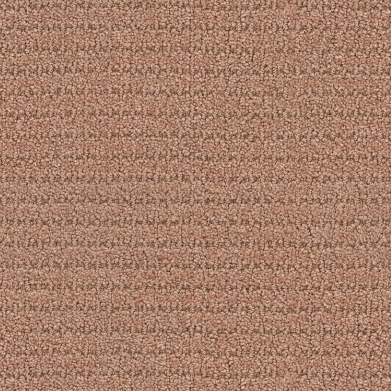 Defined carpet by Masland