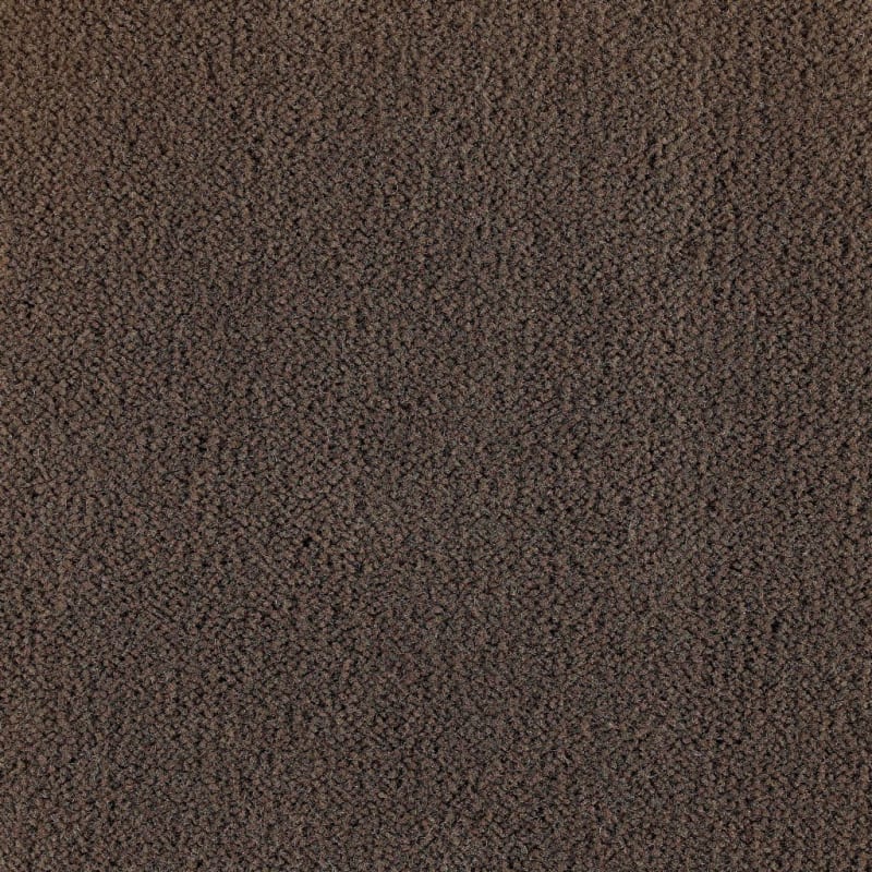 Panache carpet by Masland