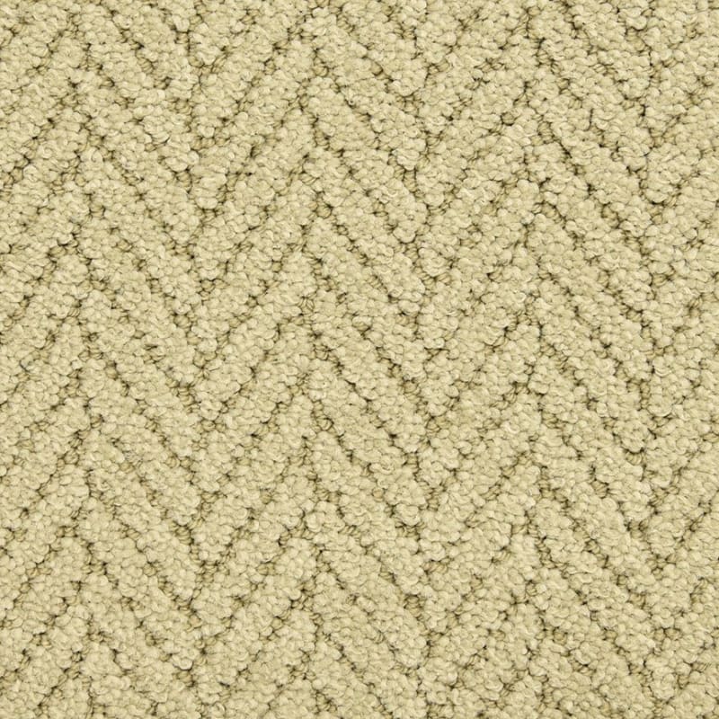Distinguished carpet by Masland