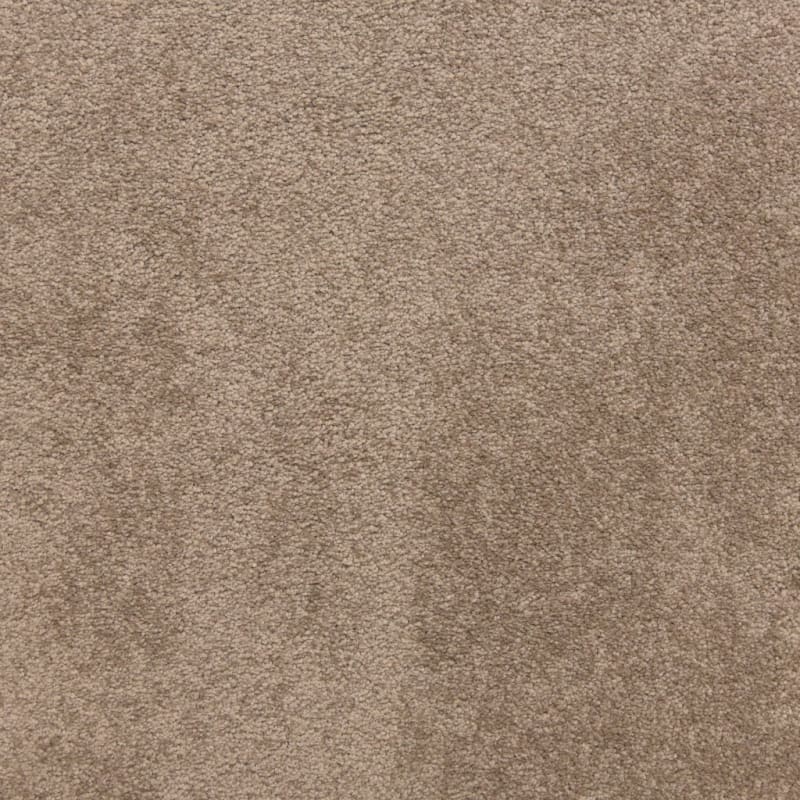 Knockout carpet by Masland