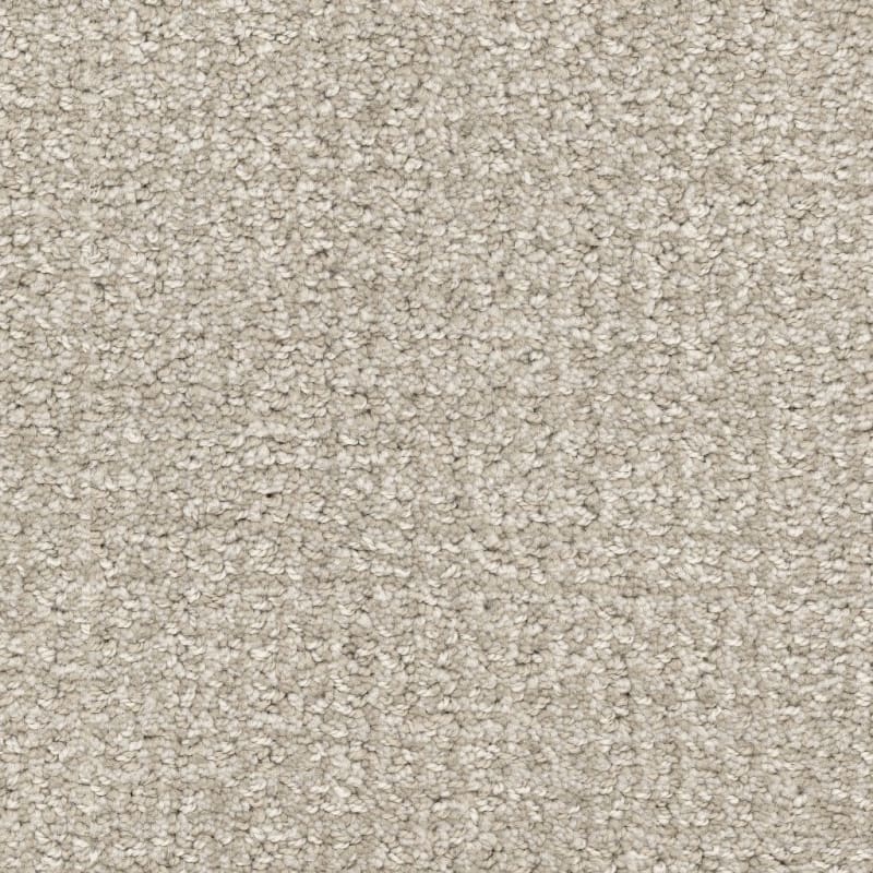 Pedigree carpet by Masland