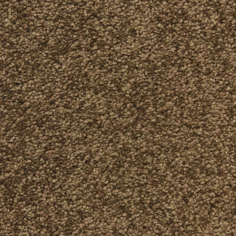 Morgan Bay carpet by Masland