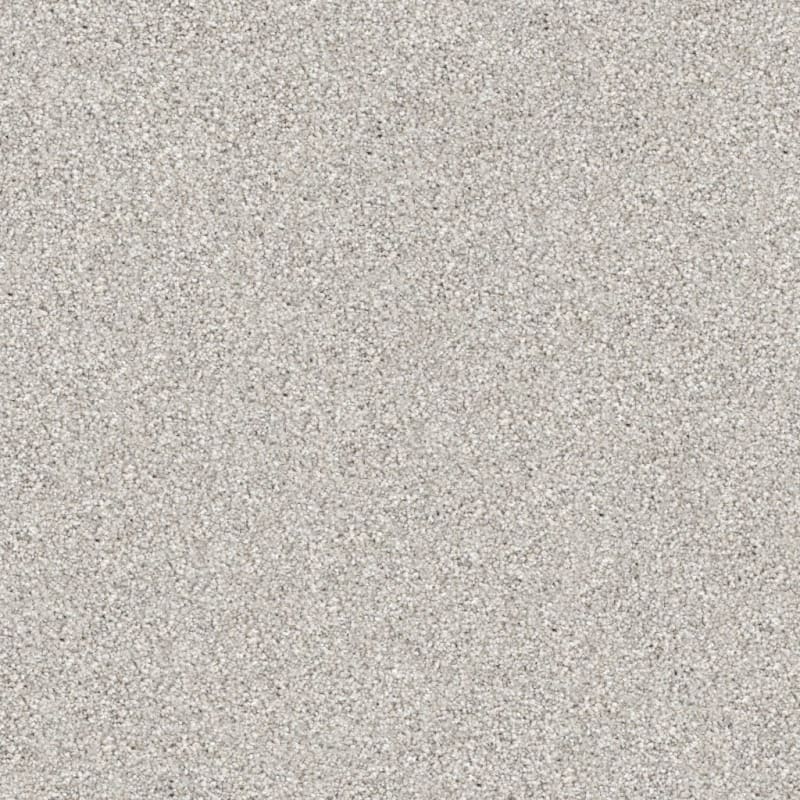 Tracker carpet by Masland