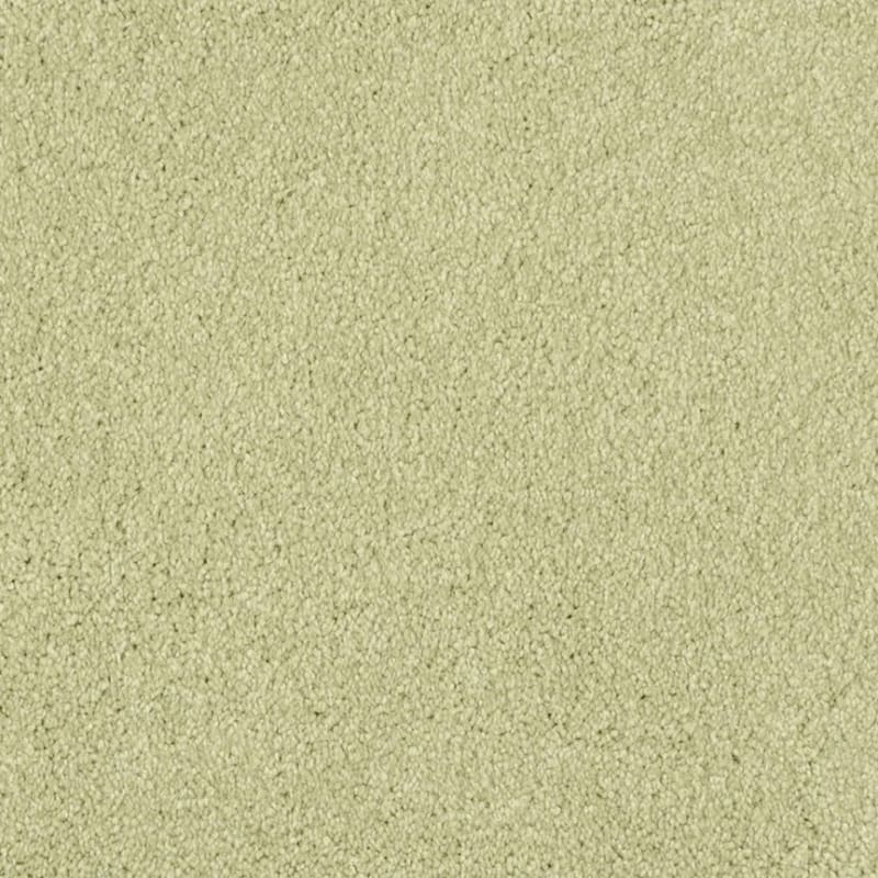 Oceanside carpet by Masland