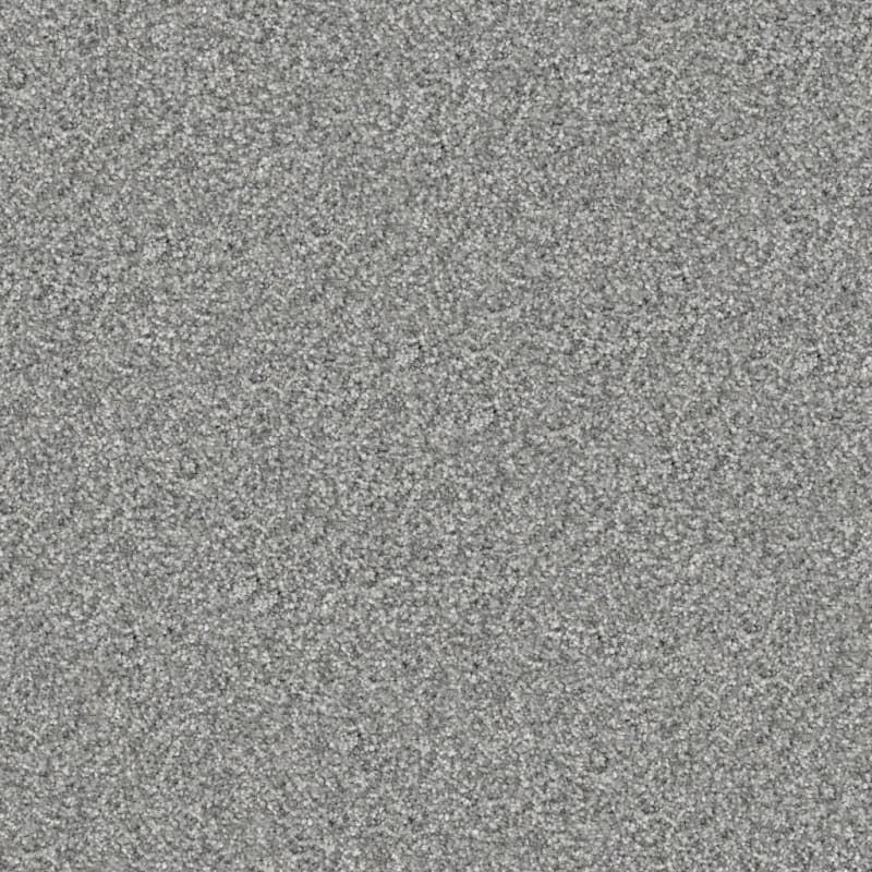 Tracker carpet by Masland