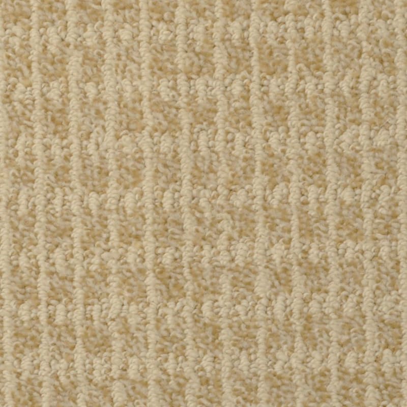 Hudson Valley carpet by Masland