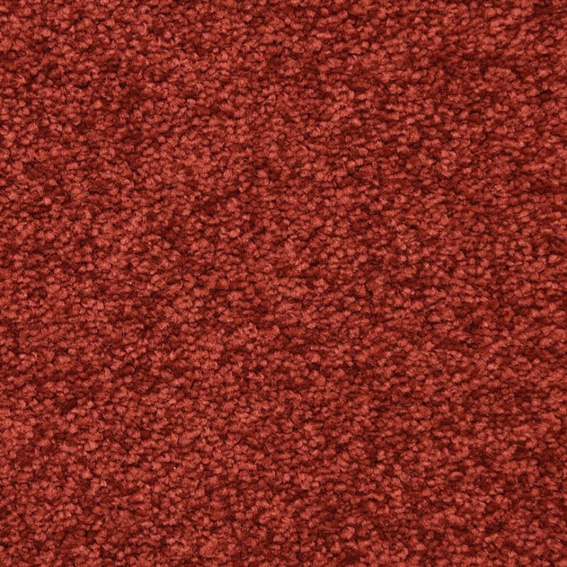 Morgan Bay carpet by Masland