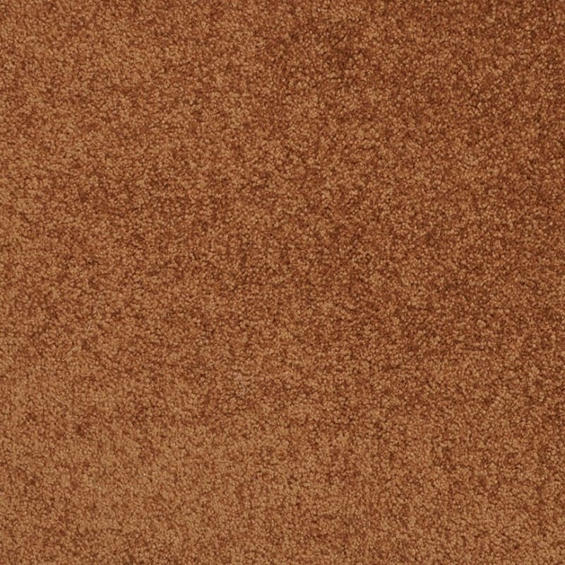 Americana carpet by Masland