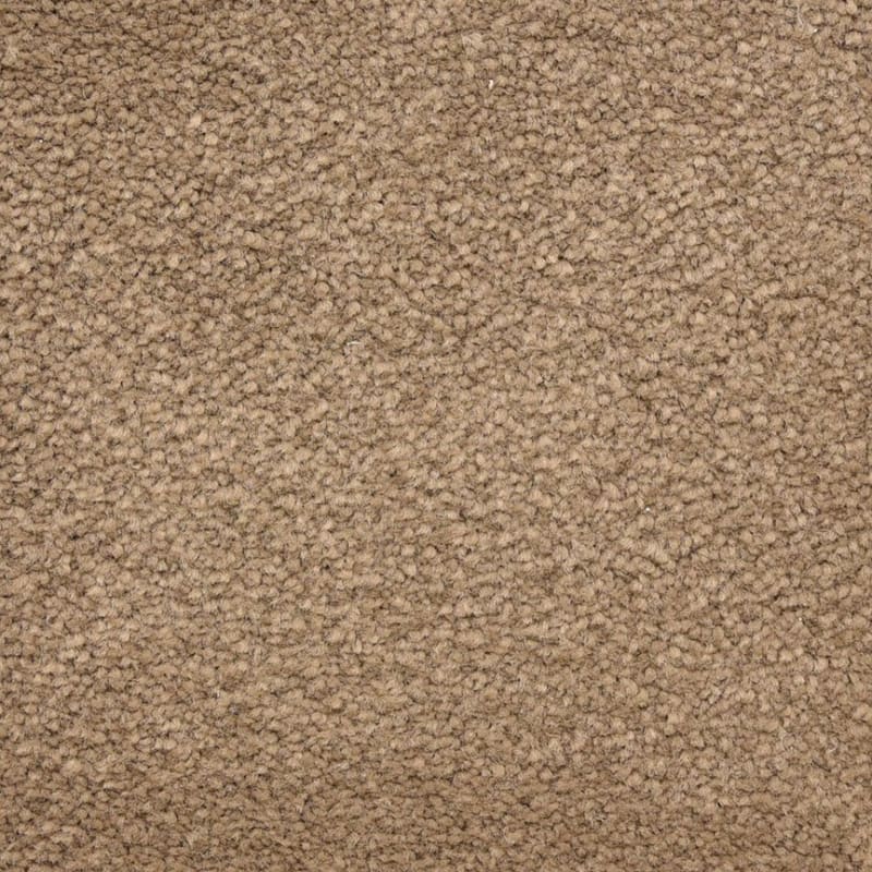 Ravishing carpet by Masland