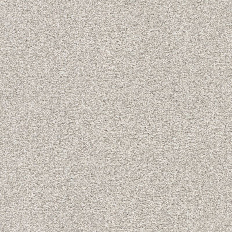 Tracker carpet by Masland