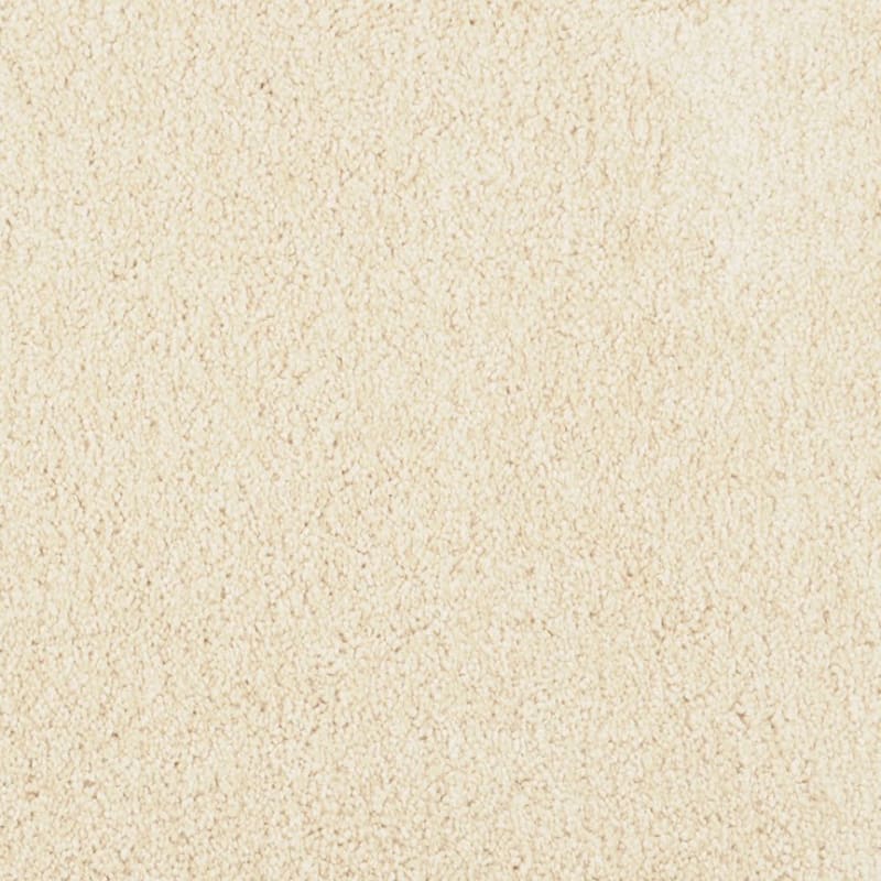 Miami carpet by Masland