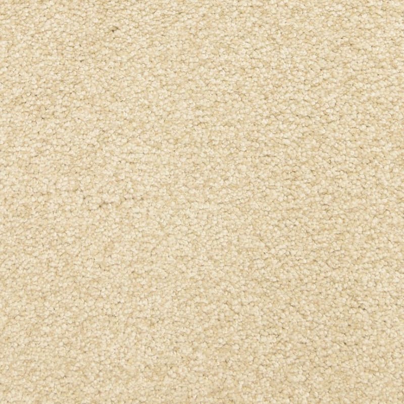 This And That carpet by Masland