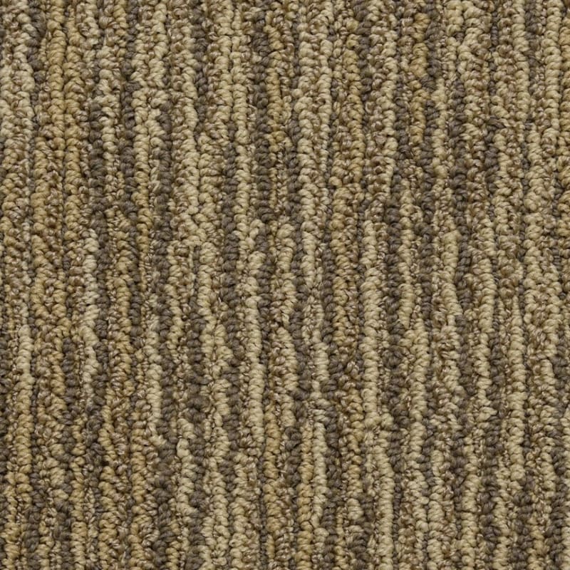 Vivacity carpet by Masland