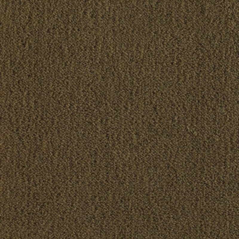 Panache carpet by Masland