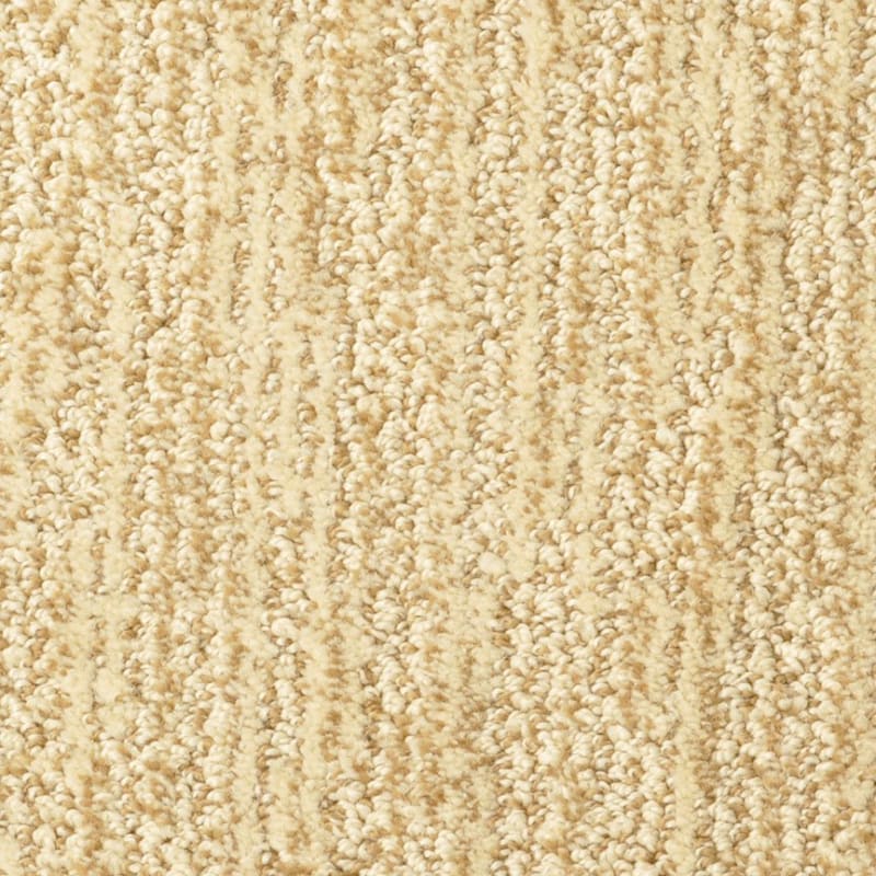 Mesa Verde carpet by Masland