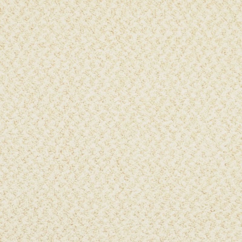 New Hope carpet by Masland