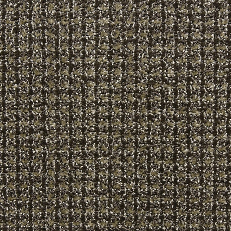 Alpha carpet by Masland