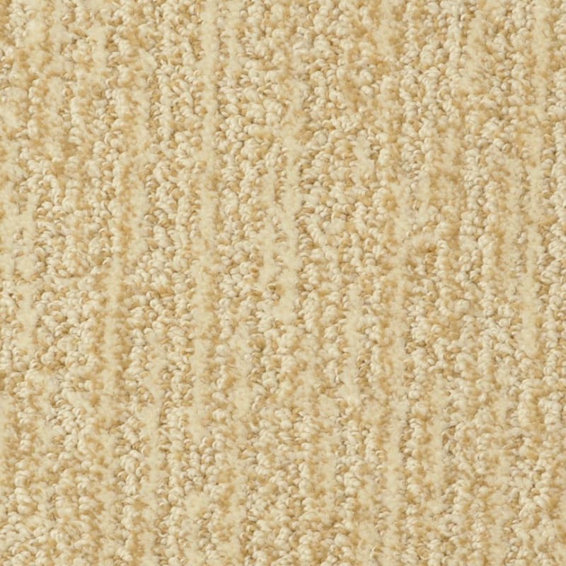 Mesa Verde carpet by Masland