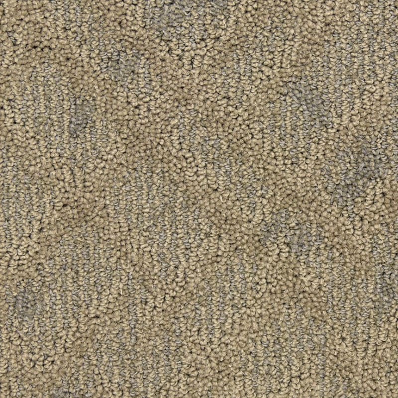 Orion carpet by Masland
