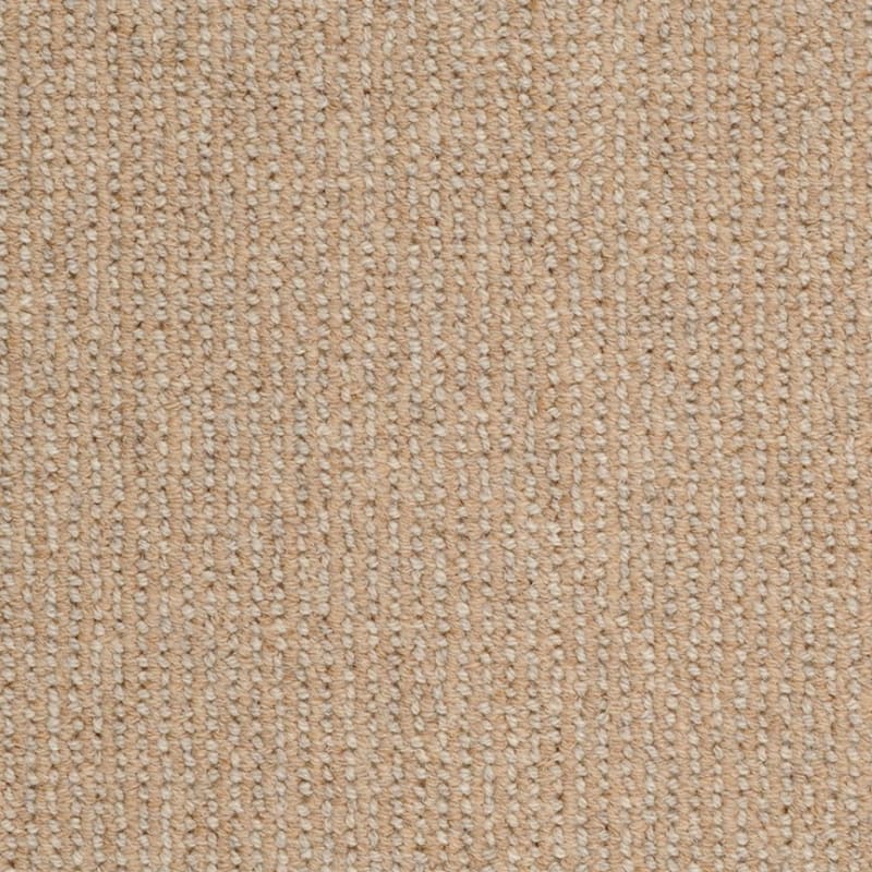 Dublin carpet by Masland