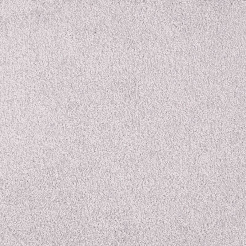 Miami carpet by Masland