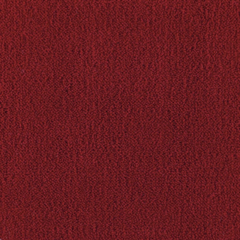 Panache carpet by Masland