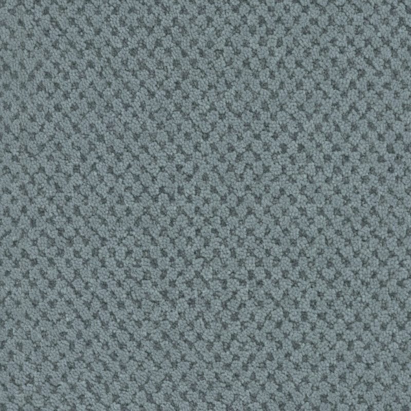 La Parade carpet by Masland