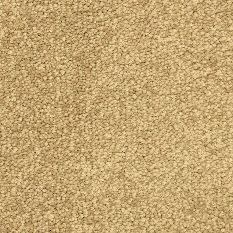 Morgan Bay carpet by Masland