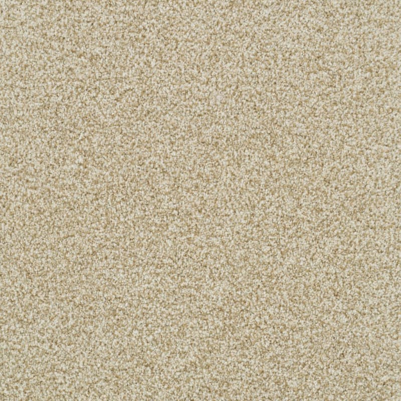 St. Augustine carpet by Masland