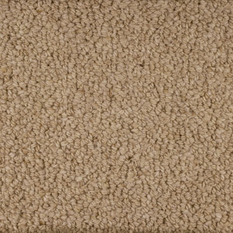 Wexford carpet by Masland