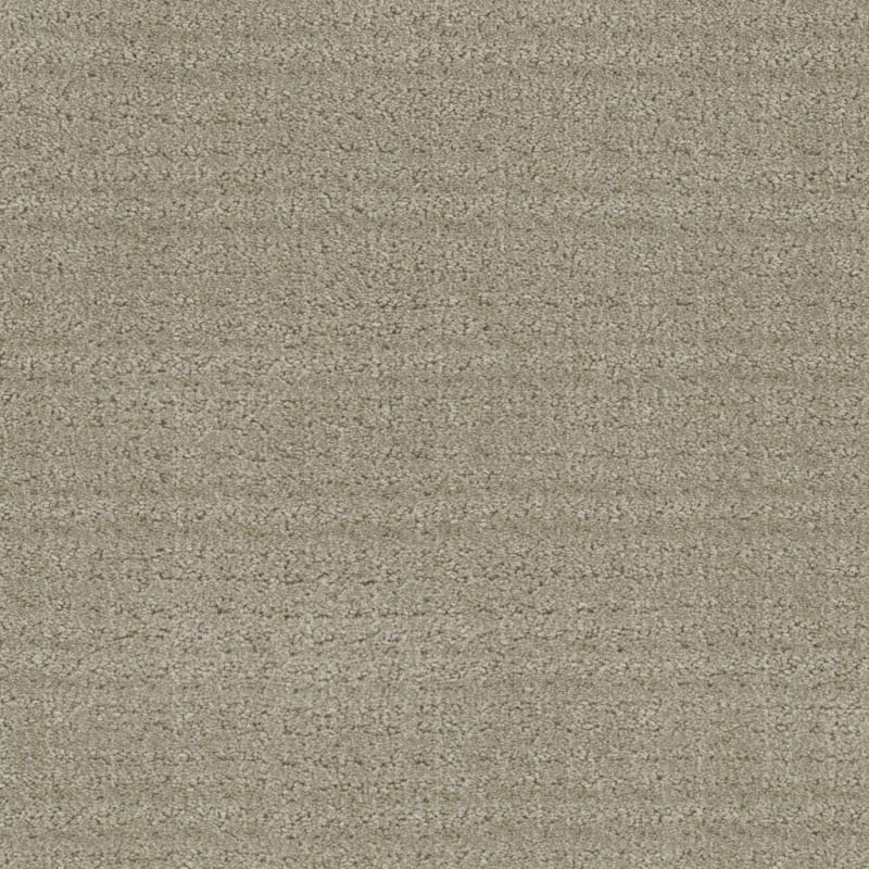 Purebred carpet by Masland